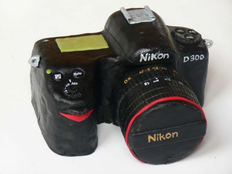 nikon_d300.jpg